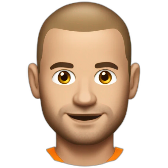 Wesley Sneijder emoji