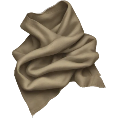 Rag cloth emoji