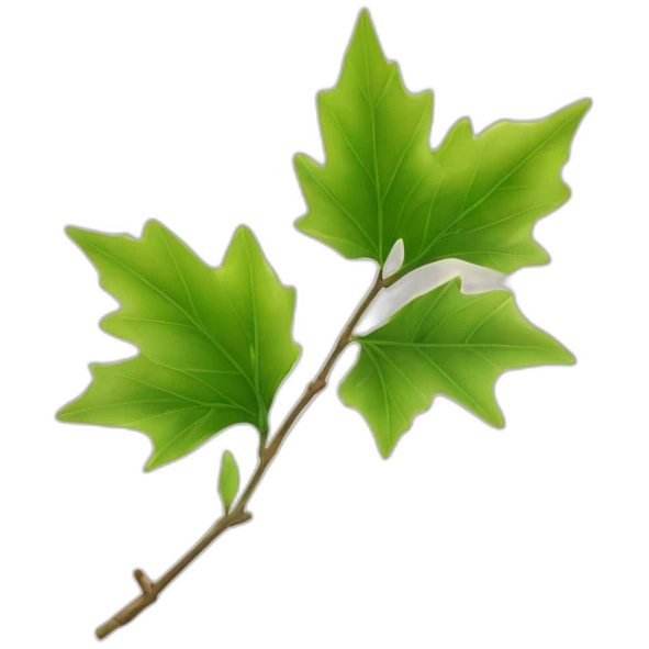 Une feuille d’érable japonais verte emoji