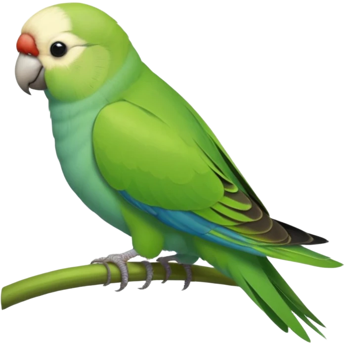 Green Quaker Parakeet emoji