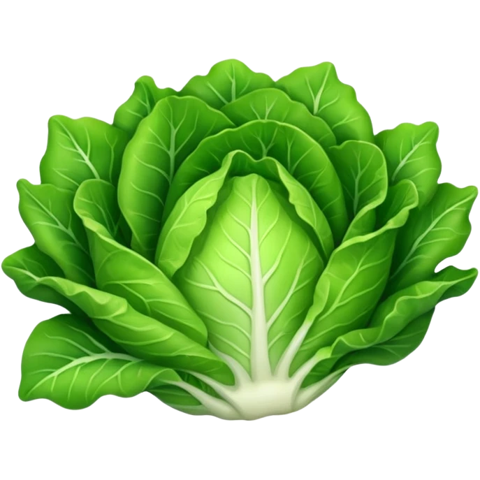 lettuce vegetable emoji