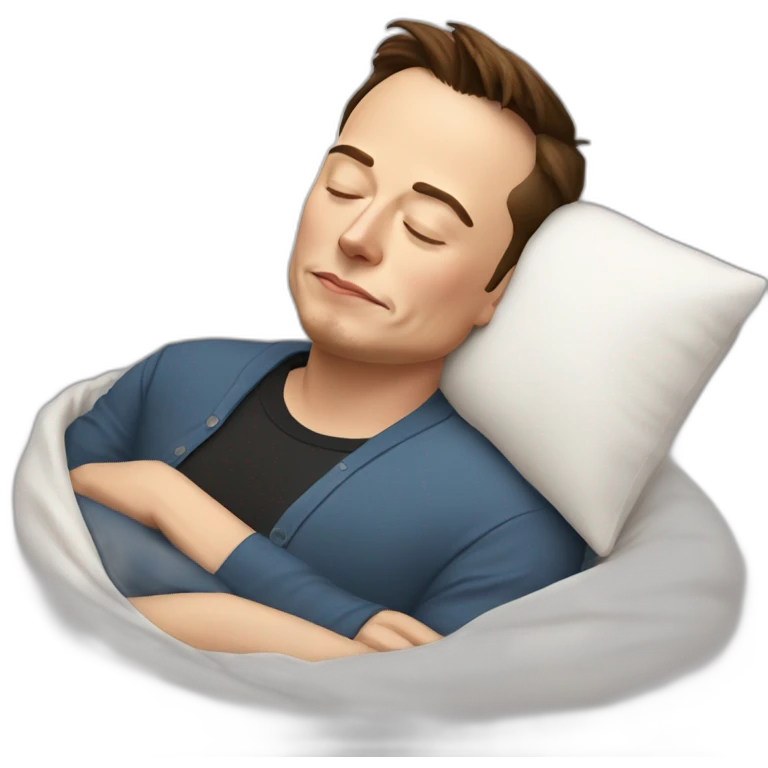 Elon musk sleeping emoji