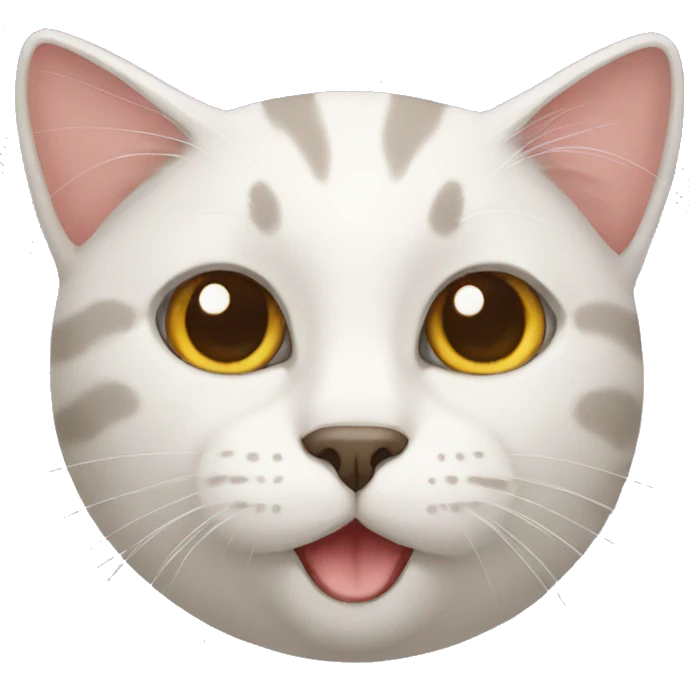 cat emoji