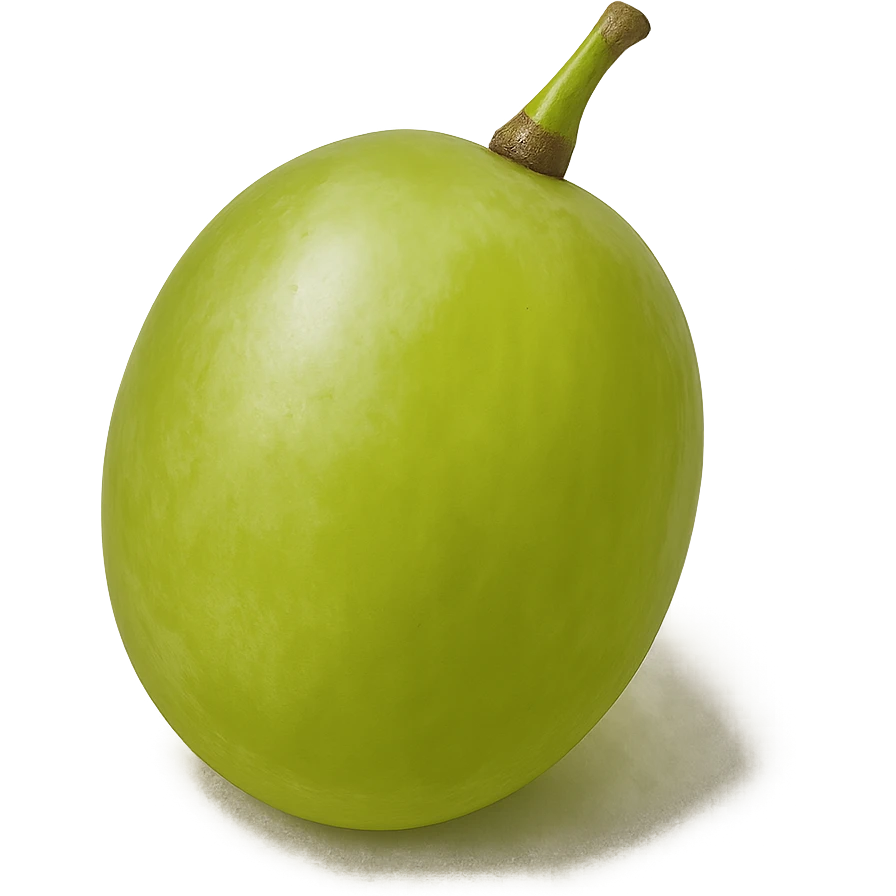 a single green grape, realistic style emoji