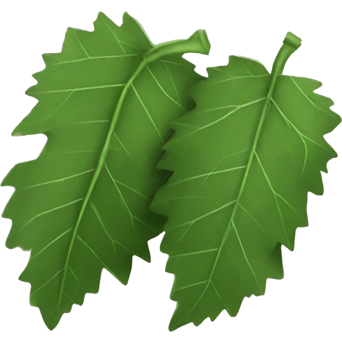 Rolled grape leaves emoji