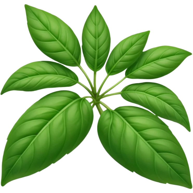 thai basil emoji
