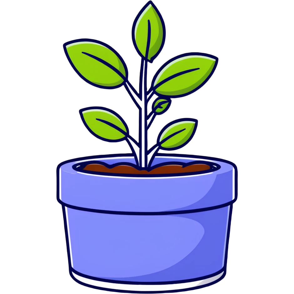 Young Plectranthus Verticillatus sprouts with circular coin-shaped leaves in a modern metallic planter emoji