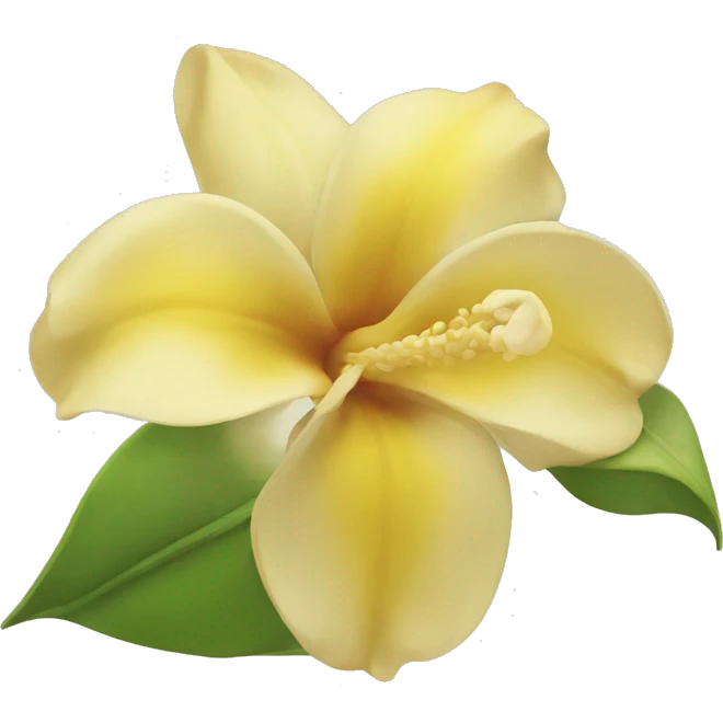 Flor de vainilla  emoji