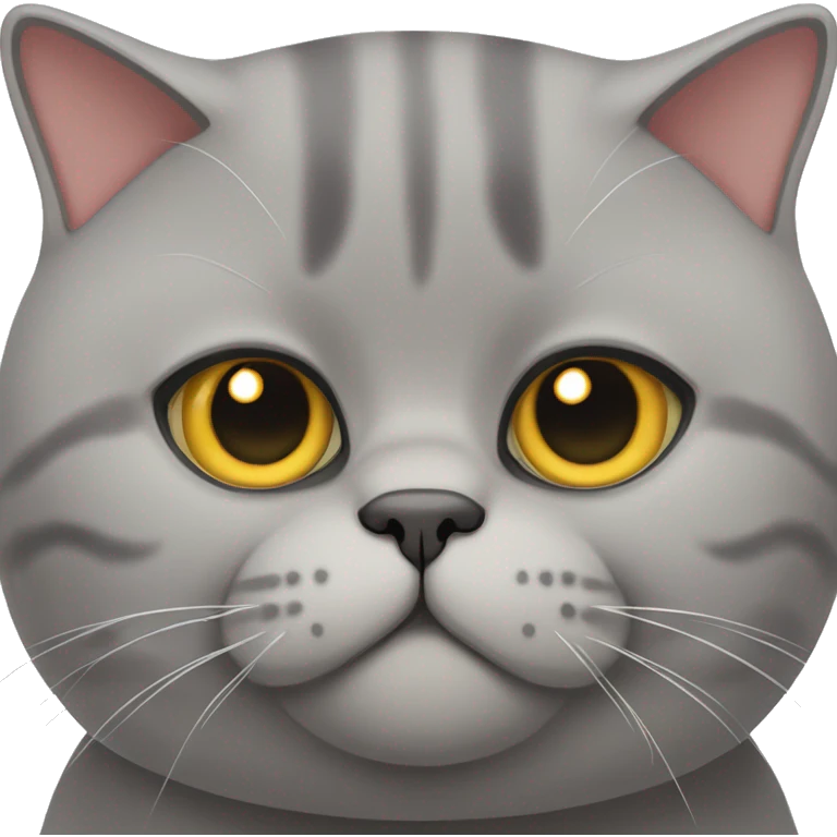 British shorthair cat chonky emoji