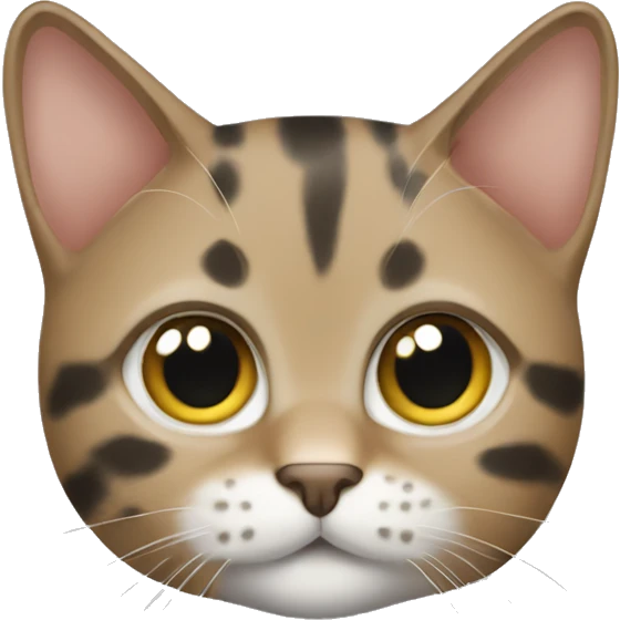 Spotted tabby short hair cat  emoji