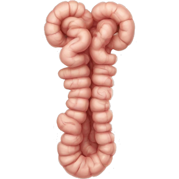  intestine emoji