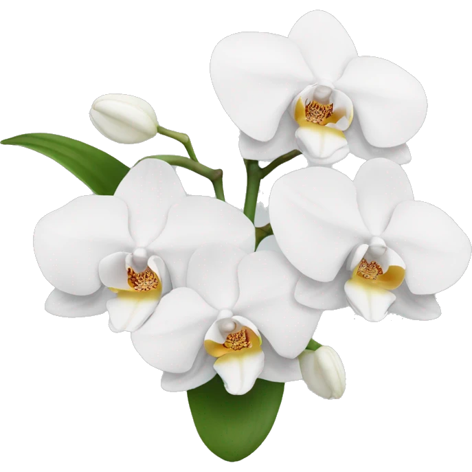 White orchids emoji