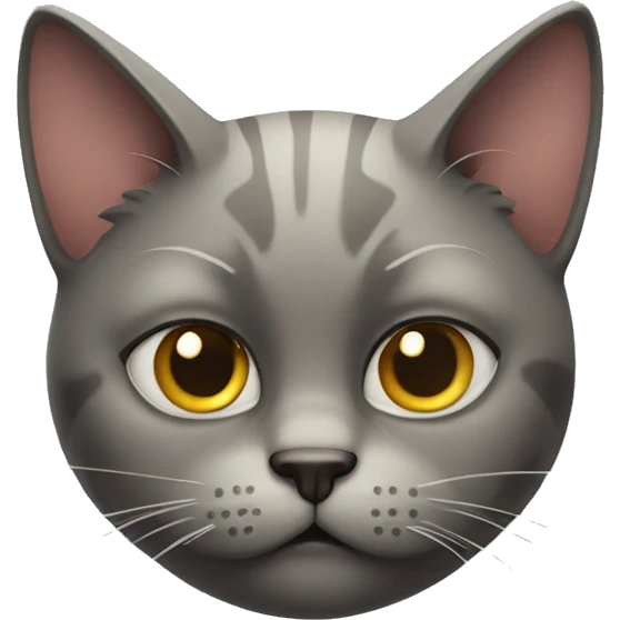 cat making a suspicious face emoji