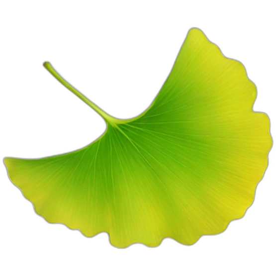 ginkgo leaf emoji