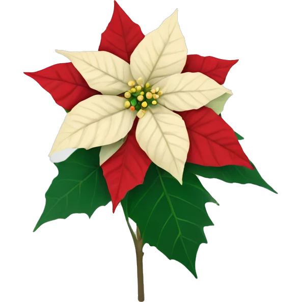 Poinsettia flower emoji