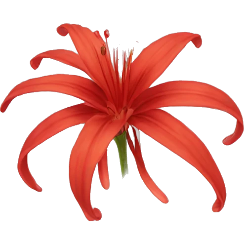 red spider lily flower emoji
