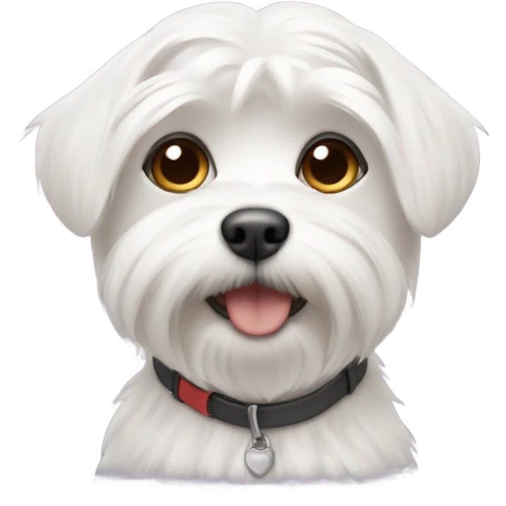 Maltese with short hair emoji