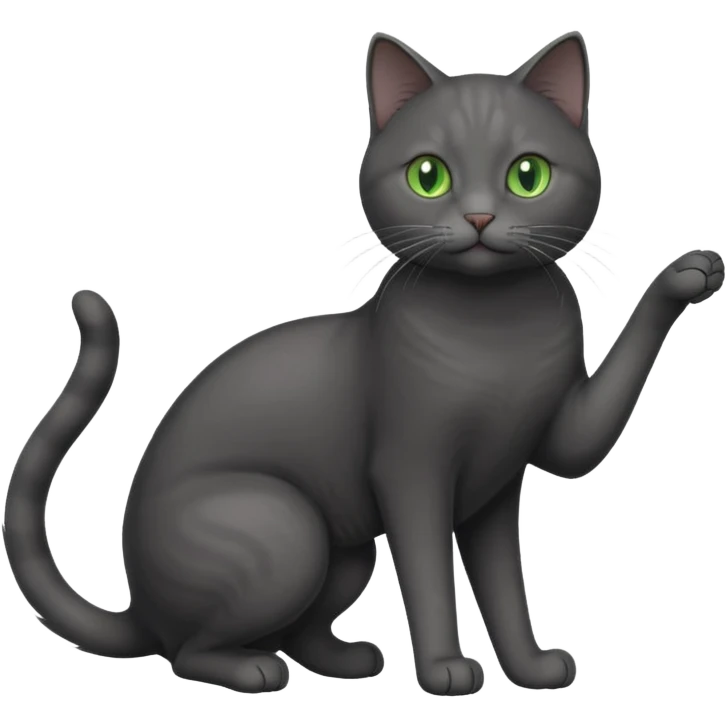 full body gorgeous solid dark grey cat with green eyes, white paws and white whiskers playing emoji