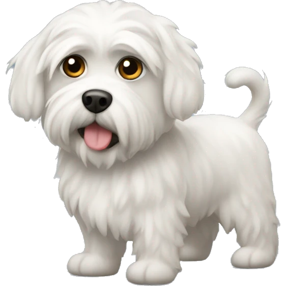 Maltipu emoji