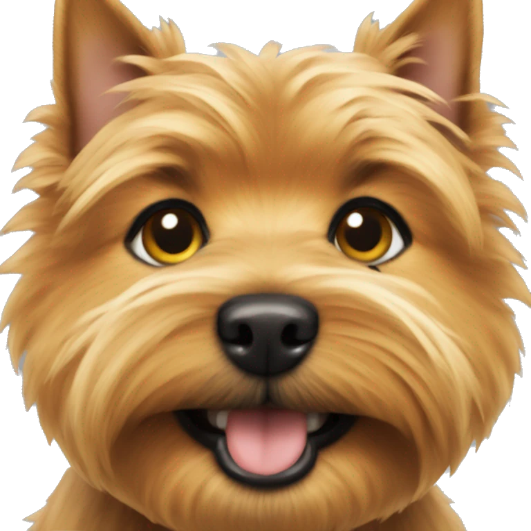 Norwich terrier  emoji