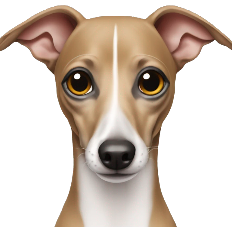 Italian greyhound emoji