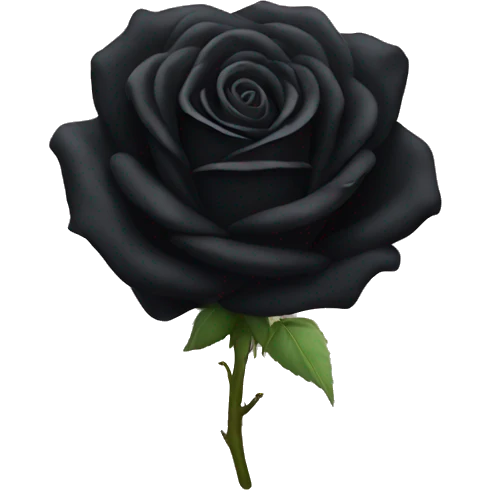 Black rose emoji
