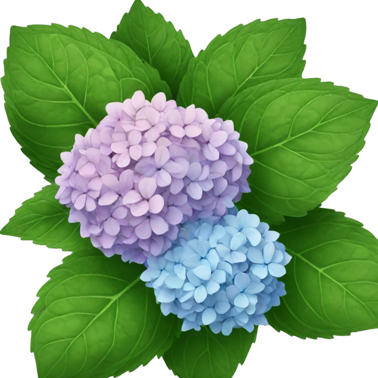 Hydrangeas  emoji