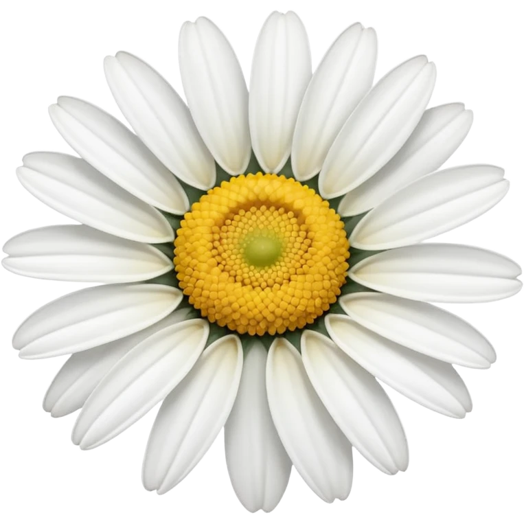 White daisy emoji