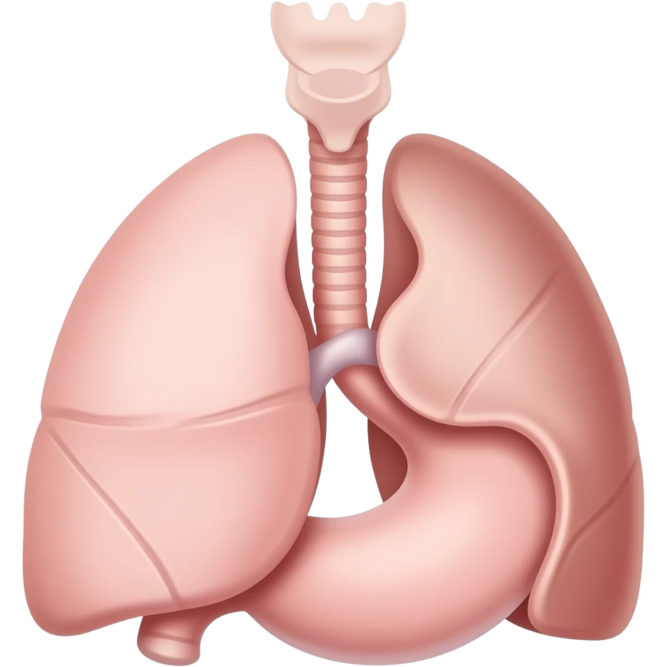 disegna il diaframma umano emoji