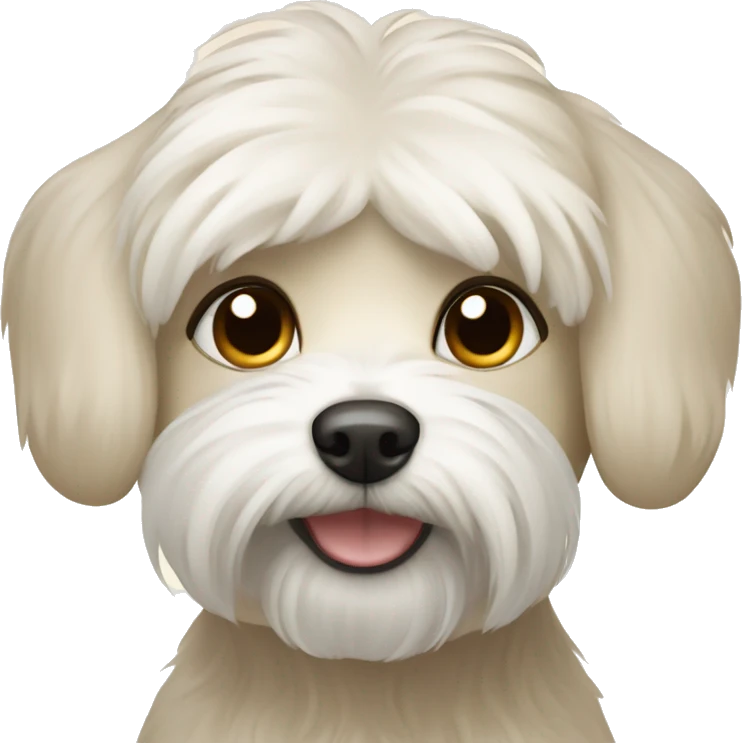 A beige Maltese dog emoji