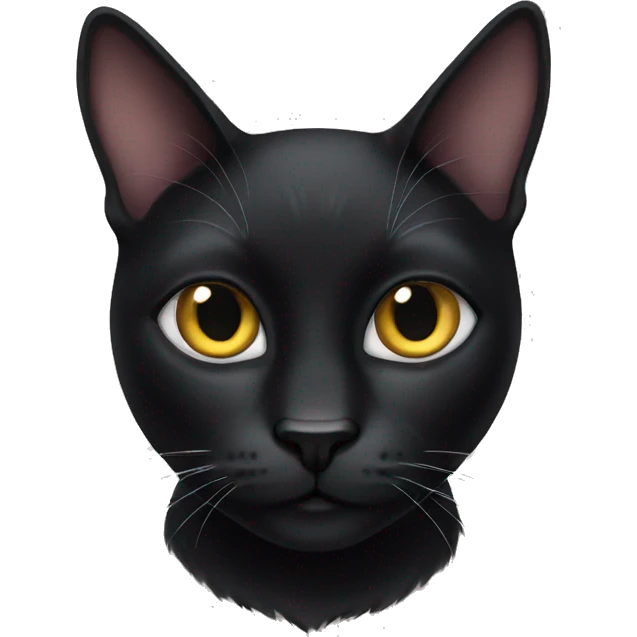 Black cat emoji
