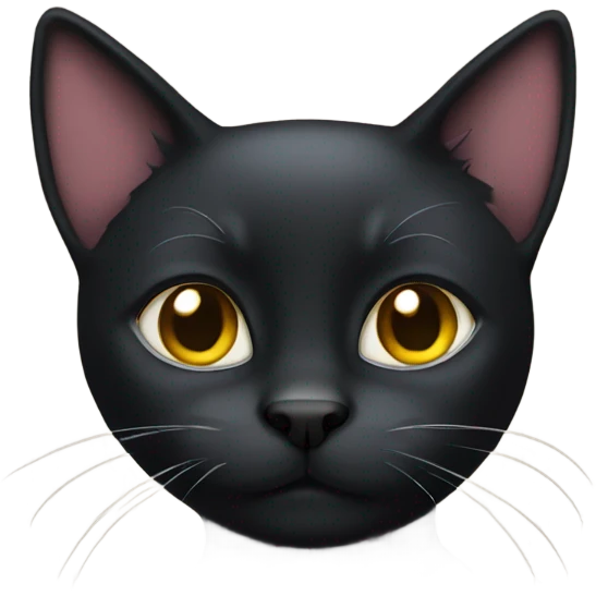 Black  cat emoji