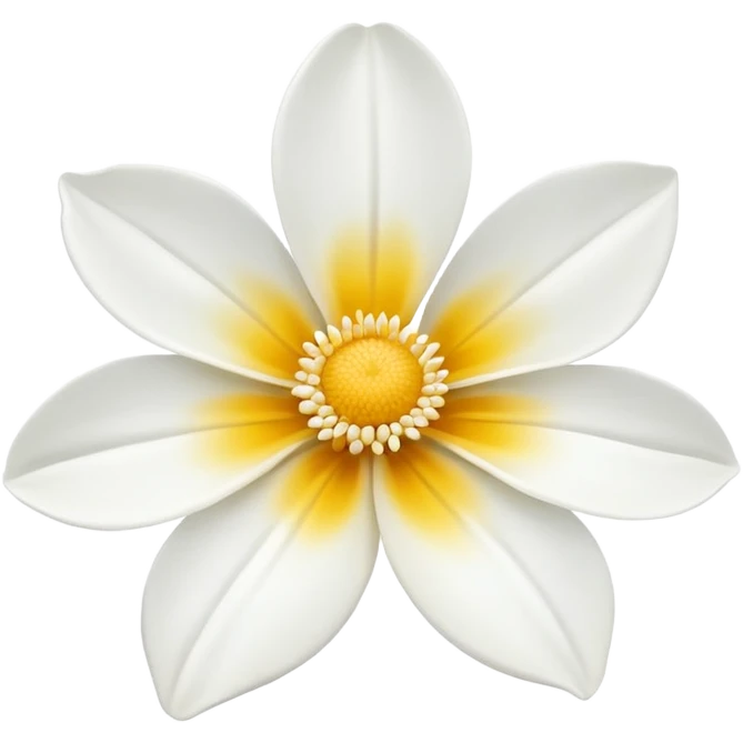 گل سفید emoji