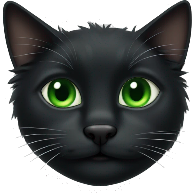 Fluffy black cat with green eyes a black nose and white whiskers emoji