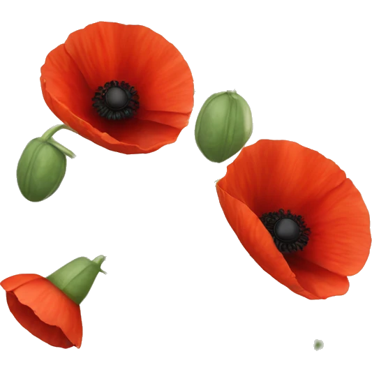 three red poppies emoji