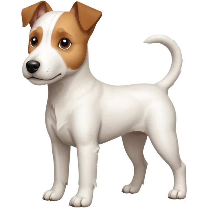 a full body large white parson russell terrier looking dog the size of a kelpie with light brown ears and a light brown patch on one eye and a large snout emoji