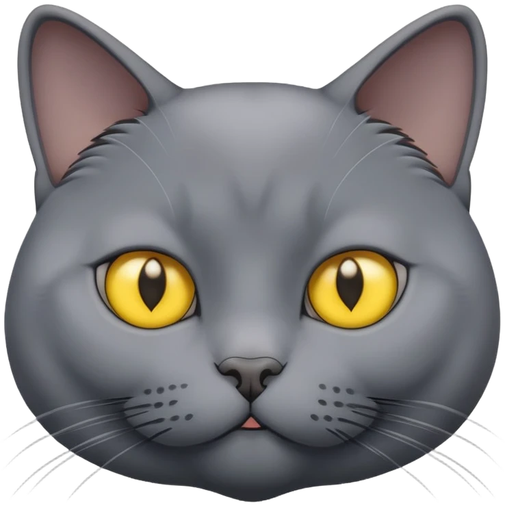 fat Russian blue cat yellow eyes emoji