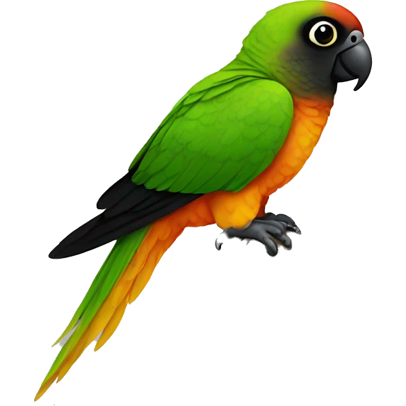 Black-capped conure emoji