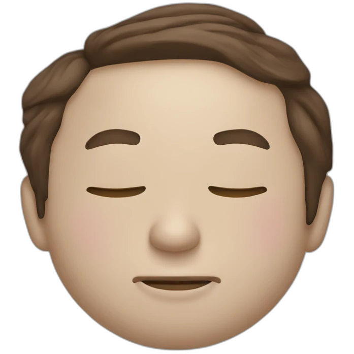 Elon musk sleeping emoji