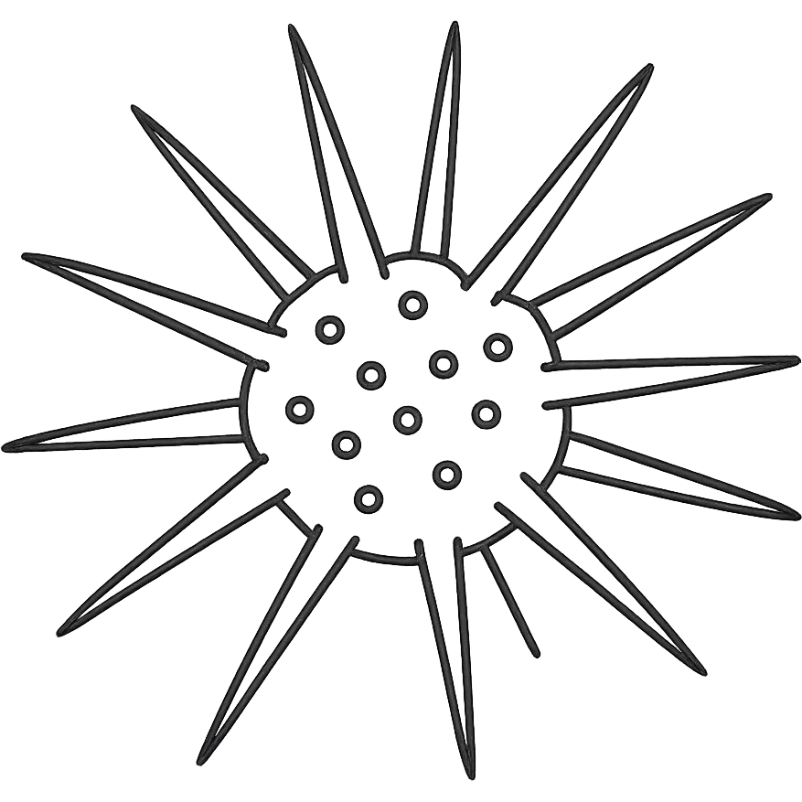 Sea urchin illustration matching the logo style, clean hand-drawn blue lines, minimal, no text, transparent background, slightly different arrangement of spines. emoji