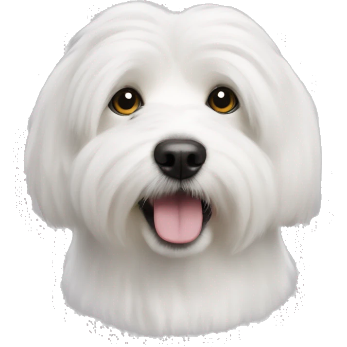 A cotton de tulear dog (this is a breed) emoji