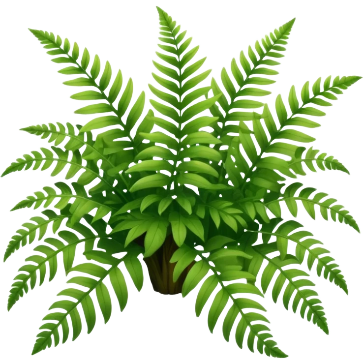 A cluster of soft green ferns growing under shaded trees.









































 emoji