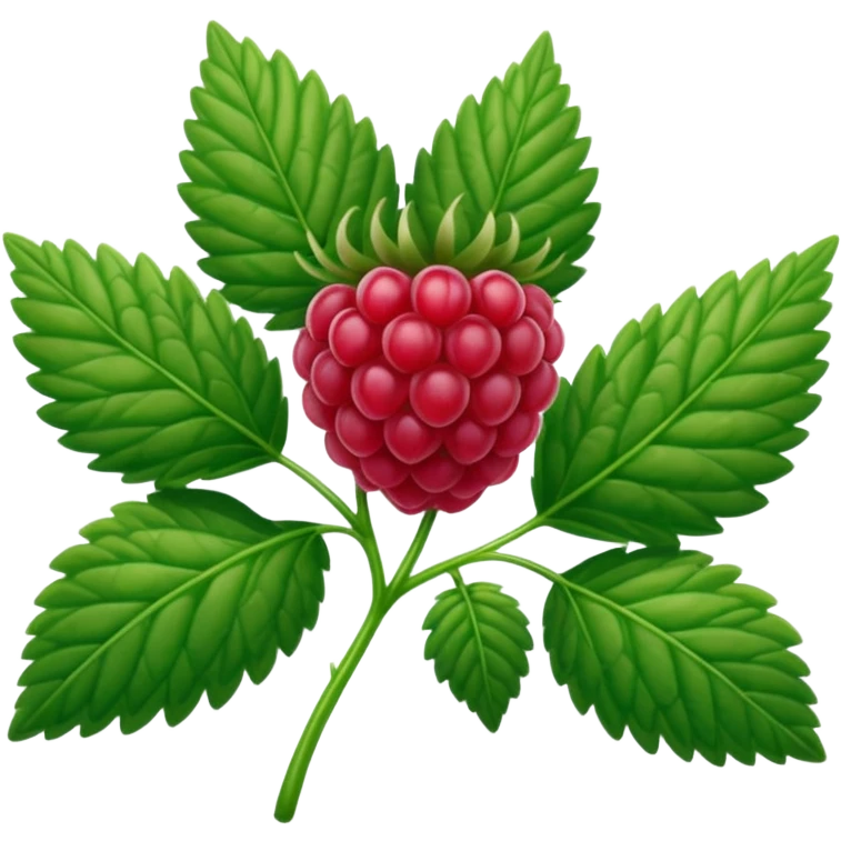 raspberry leaves emoji