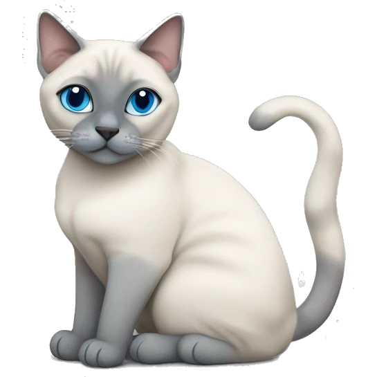Fat Blue Tabby Point siamese cat love around emoji