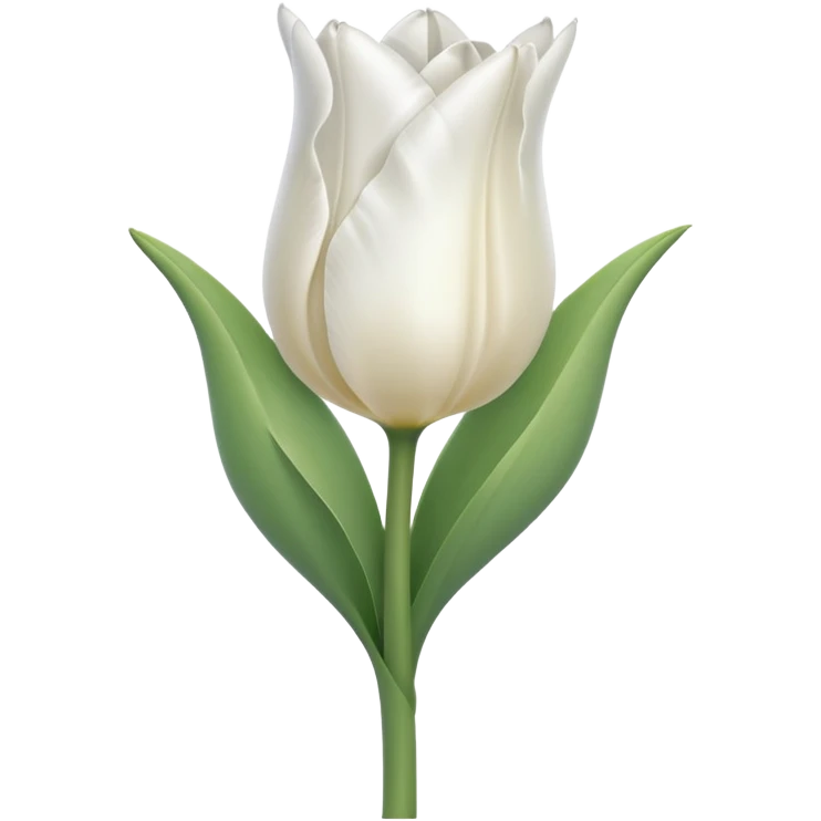 white tulip, elegant, no text emoji