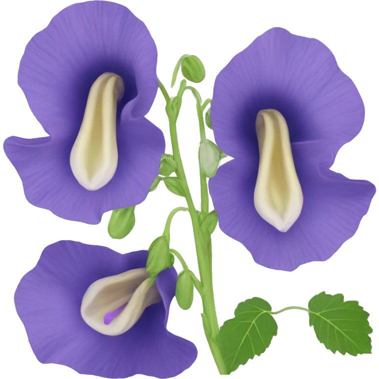 Clitoria ternatea flower emoji