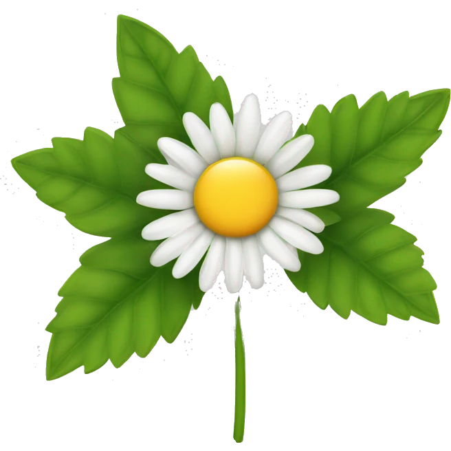 Single daisy flower with leaves and stem emoji