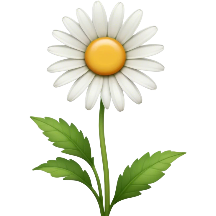 Cinematic Realistic Daisy Emoji, Cheerful and pure, with bright white petals surrounding a sunny yellow center, standing proudly atop a slender green stem. The soft, vibrant petals seem to radiate positivity, while a few green leaves frame the delicate flower. Soft glowing outline, capturing the essence of simplicity, innocence, and happiness in a single daisy. emoji