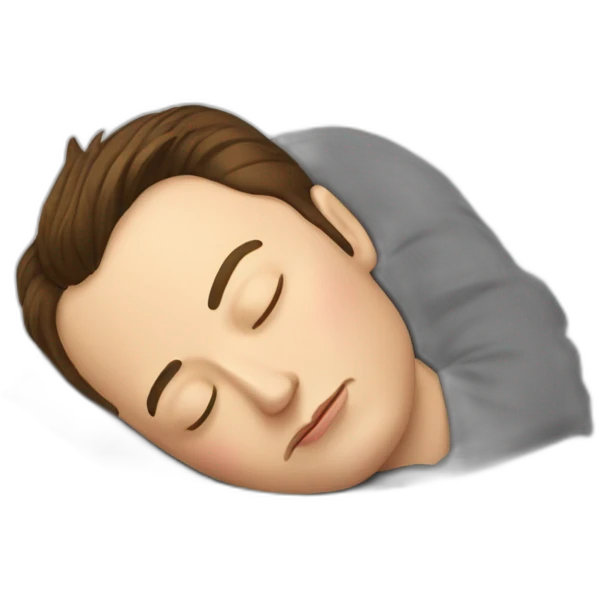elon musk sleeping emoji