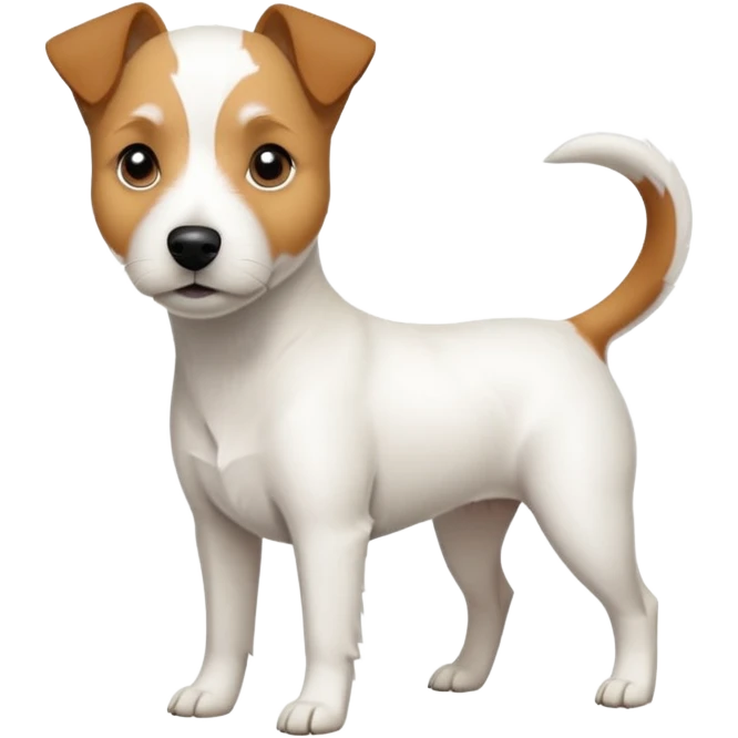 a full body slightly chubby white parson russell terrier looking dog the size of a kelpie with light brown long ears and a light brown patch on one eye and a large snout. the rest of the dog is completely whiteforward facing emoji